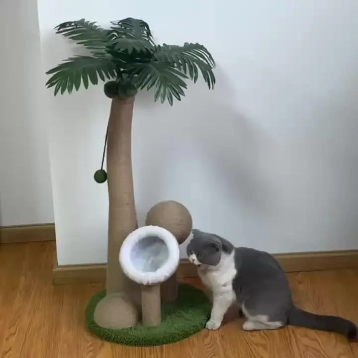 Coconut Tree Cat Scratching Post with Ball Toy-2