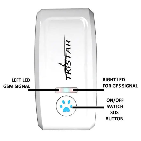 Pettrack Gps: The Ultimate Locator Device For Your Beloved Pets Dog Hugs Cat