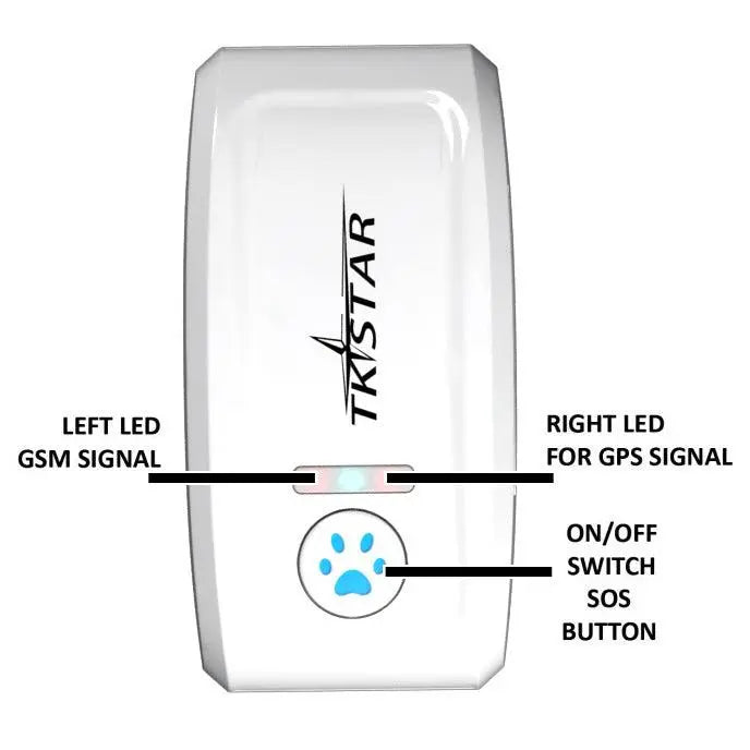 Pettrack Gps: The Ultimate Locator Device For Your Beloved Pets Dog Hugs Cat