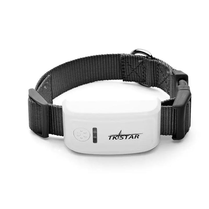 Pettrack Gps: The Ultimate Locator Device For Your Beloved Pets Dog Hugs Cat