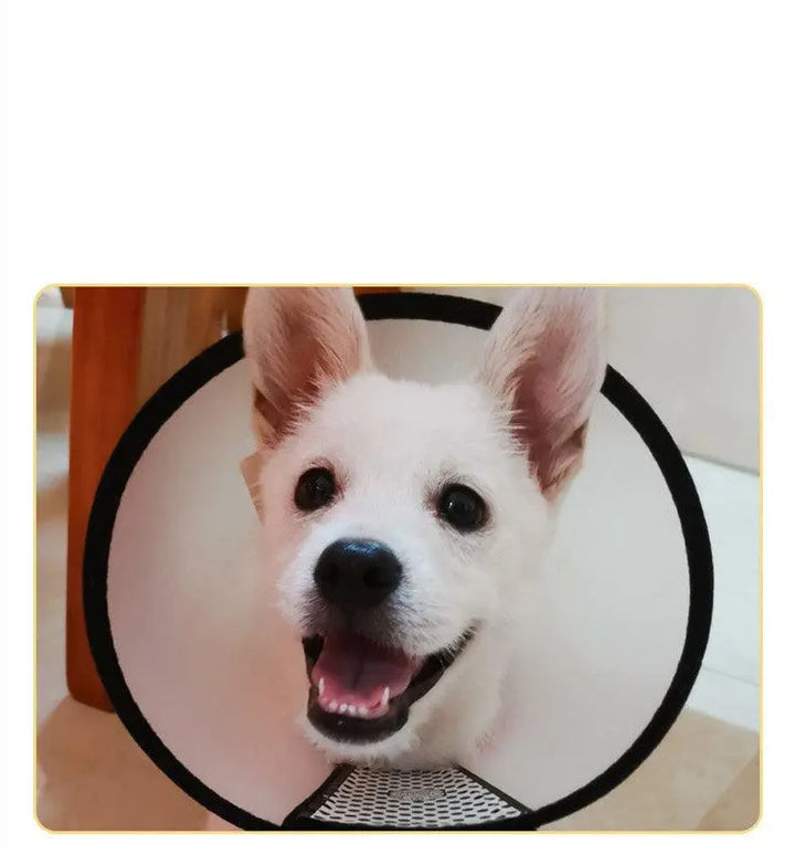 Universal Anti-Licking Pet Collar: Stop Your Furry Friend's Annoying Habits!-3