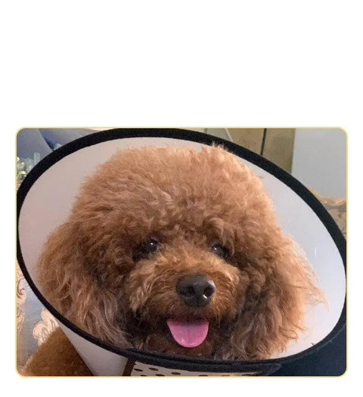 Universal Anti-Licking Pet Collar: Stop Your Furry Friend's Annoying Habits!-2