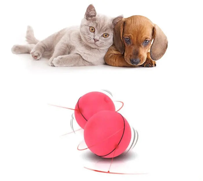 LED Laser Electronic Rolling Pet Funny Cat Toy Ball My Store