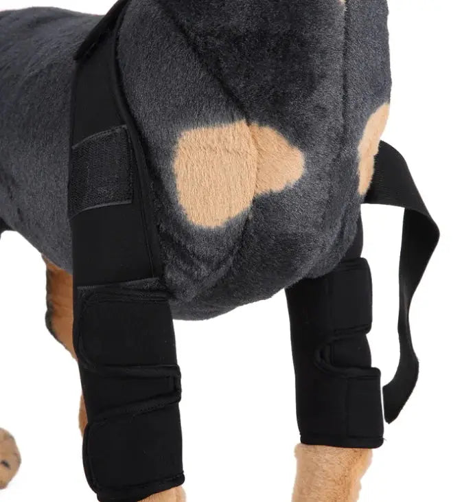 Dog Knee Brace and Leg Protector for Injury Recovery My Store