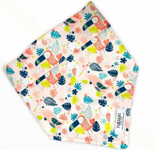 BANDANA - PINK TOUCAN PAWSOME PETS