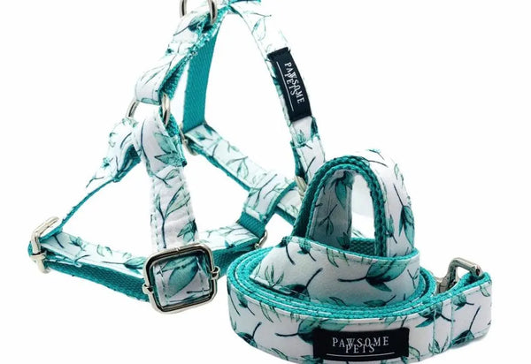 STEP IN BUNDLE - MINT LEAF (2 PIECES) PAWSOME PETS