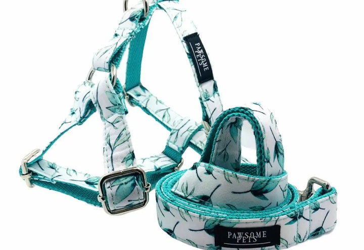STEP IN BUNDLE - MINT LEAF (2 PIECES) PAWSOME PETS