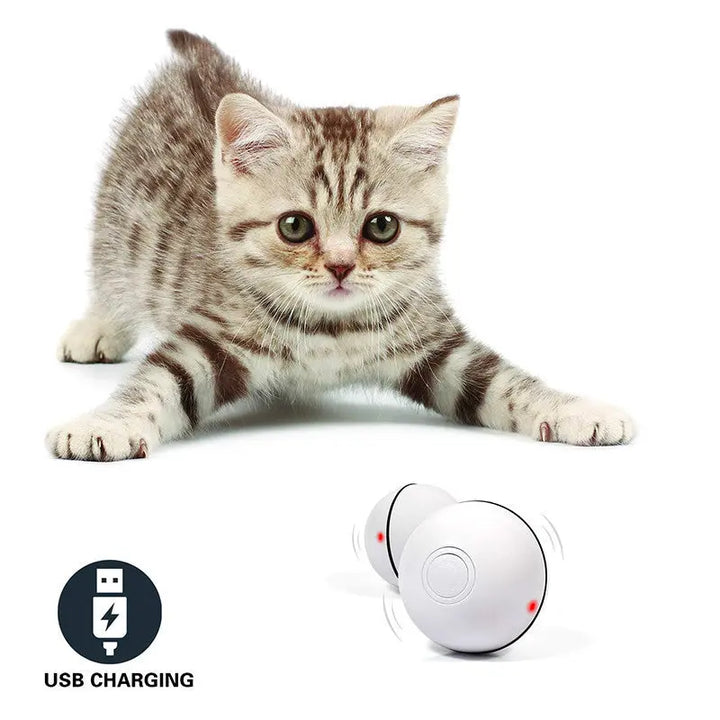 LED Laser Electronic Rolling Pet Funny Cat Toy Ball My Store