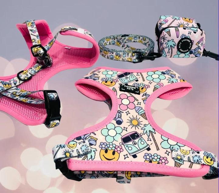 BUNDLE - SMILE EVERYDAY (3 PIECES) PAWSOME PETS