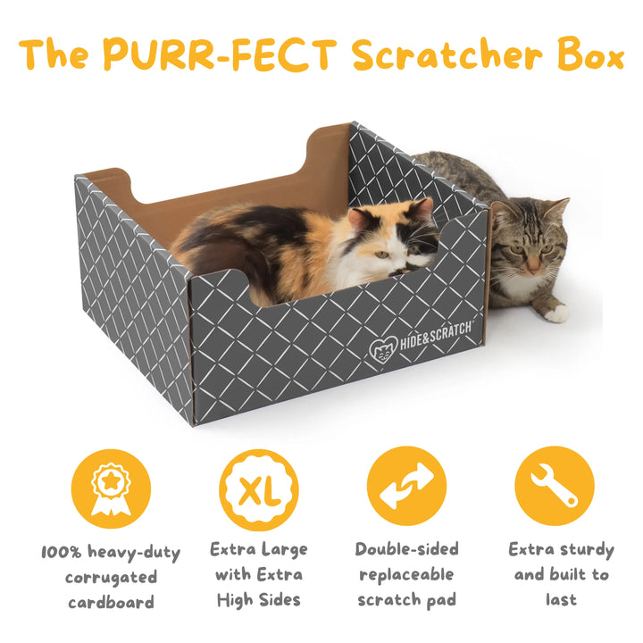 Hide & Scratch Cat Scratcher Box Value Pack (Case Pack of 7) Hide & Scratch