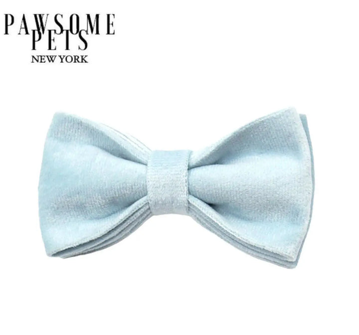 BOWTIE - ICE BLUE PAWSOME PETS