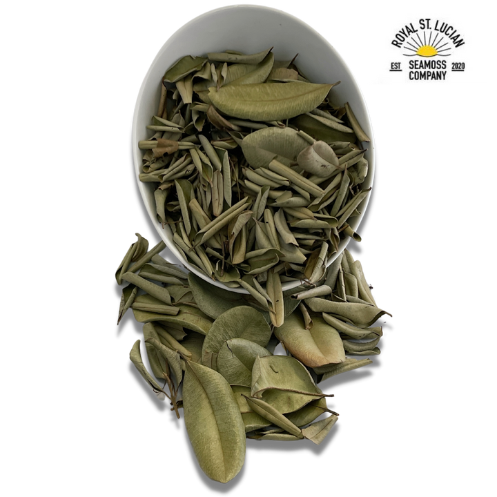 Sweet Bay Leaves-2