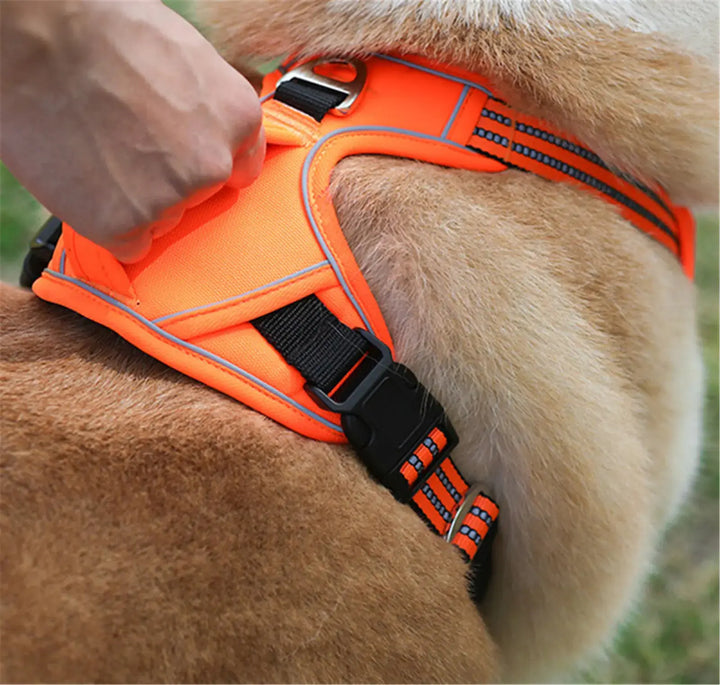 Durable Waterproof Pet Harness with Vertical Handle My Store