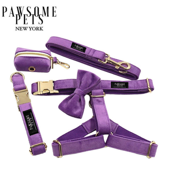 STEP IN BUNDLE - DARK PURPLE (5 PIECES) PAWSOME PETS