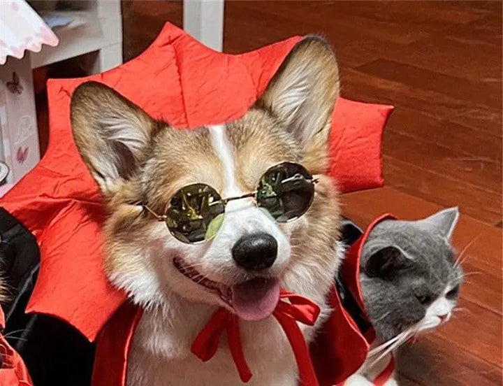 Vampire King Pet Halloween Cape Dog Hugs Cat