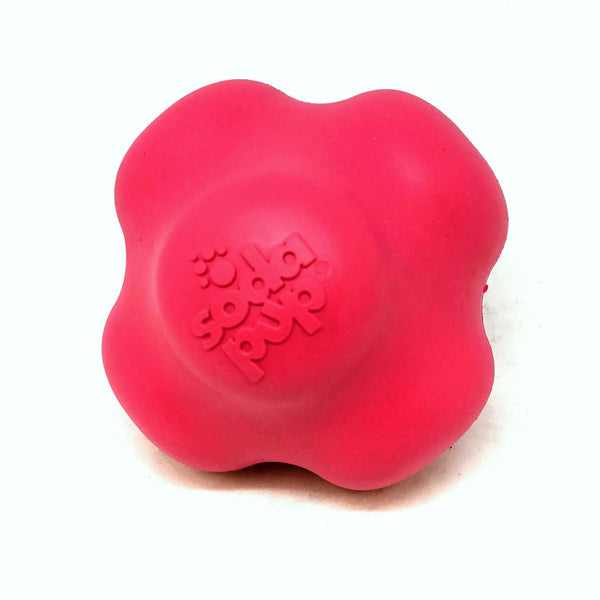 Ultra-Durable Rubber Chew Toy for Engaging Play in Active Dogs SodaPup