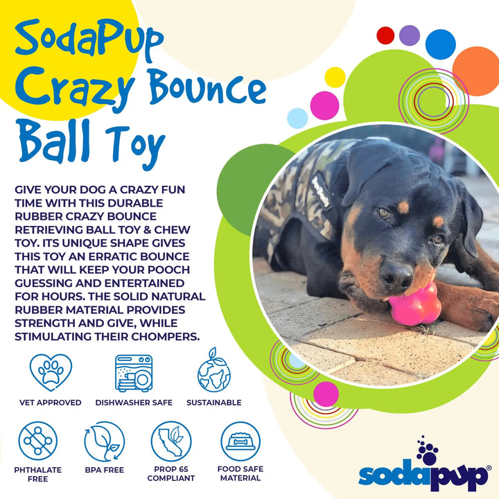 Ultra-Durable Rubber Chew Toy for Engaging Play in Active Dogs SodaPup