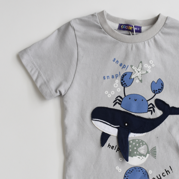 Whale Up Boys Short Set-4