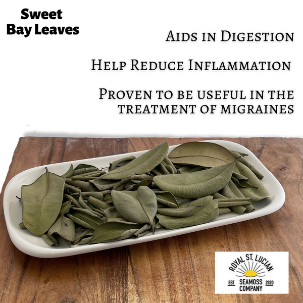 Sweet Bay Leaves-0
