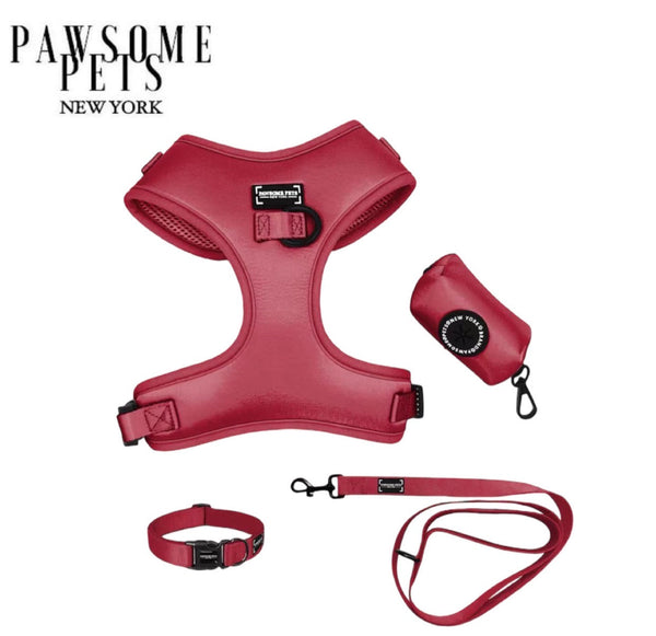 BUNDLE - SILK RED PAWSOME PETS