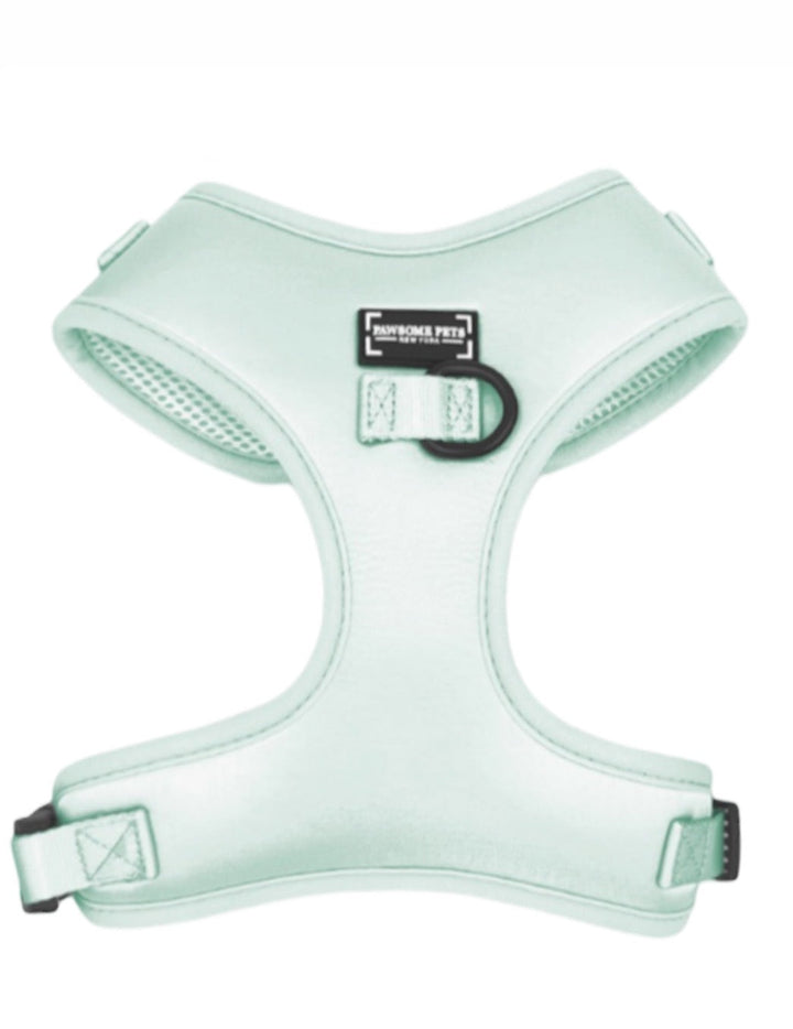 BUNDLE - MINT GREEN PAWSOME PETS
