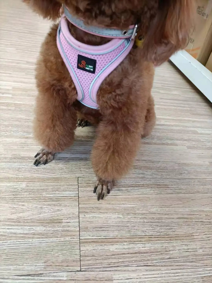 Reflective Stroke Prevention Pet Harness With Leash-4