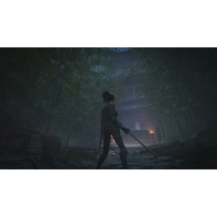 Xbox Series X Video Game Just For Games Wuchang: Fallen Feathers-10