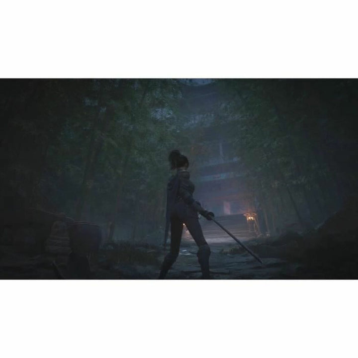 Xbox Series X Video Game Just For Games Wuchang: Fallen Feathers-4