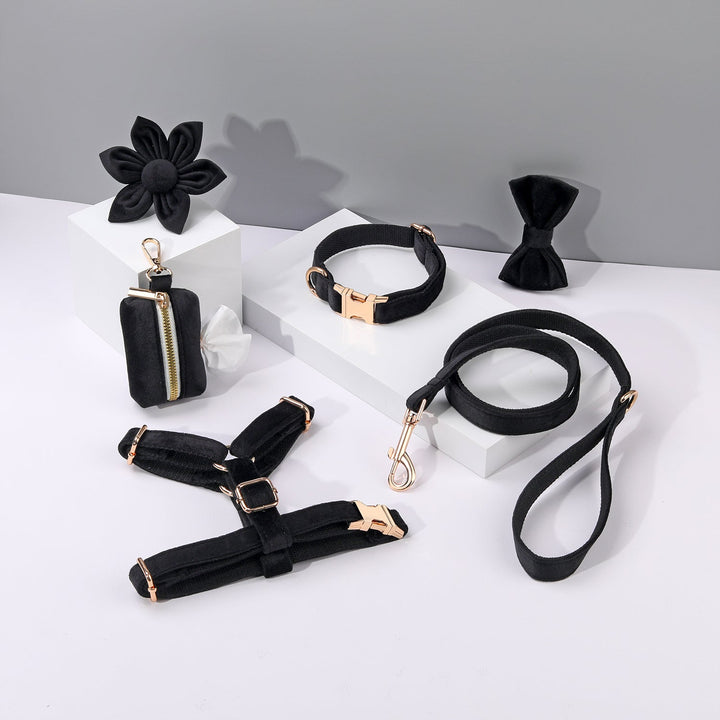 STEP IN FLORAL BUNDLE - BLACK (6 pieces) PAWSOME PETS