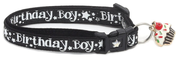 Birthday Boy Breakaway Cat Collar Pugs2Persians