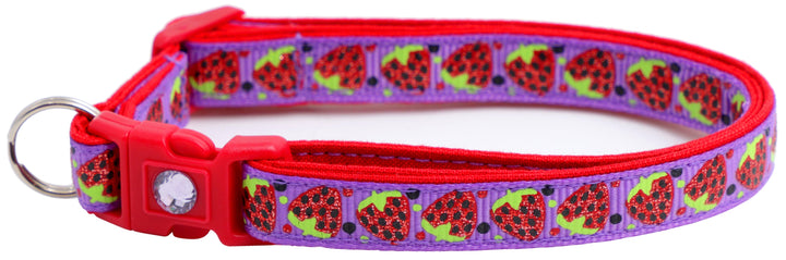 Strawberries Breakaway Cat Collar Pugs2Persians