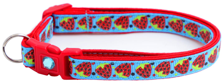 Strawberries Breakaway Cat Collar Pugs2Persians
