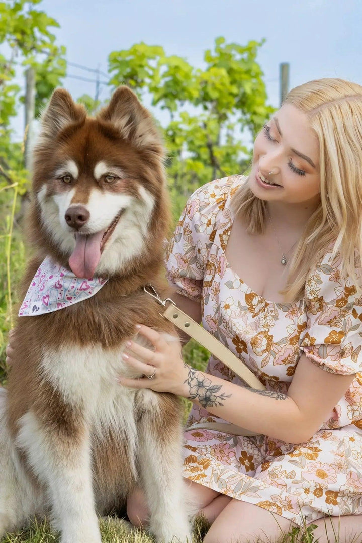 Cheers to Love Dog Bandana Aria the Fox