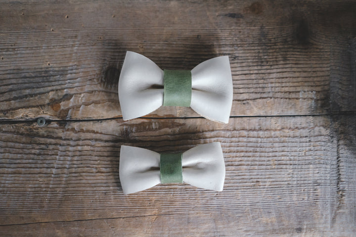 Bow Tie Wedge Dog Collection