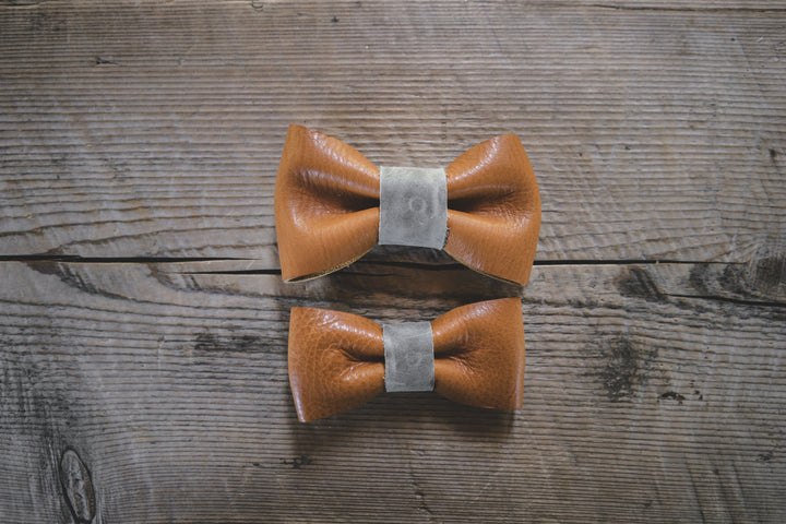 Bow Tie Wedge Dog Collection