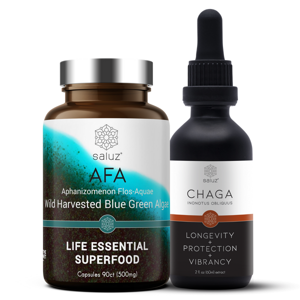 Saluz Detox Bundle – The Ultimate Cleanse with AFA & Chaga Mushroom-0