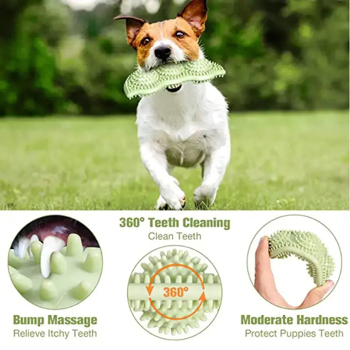 Bite-Resistant Dog Toy Ball for Interactive Chewing My Store