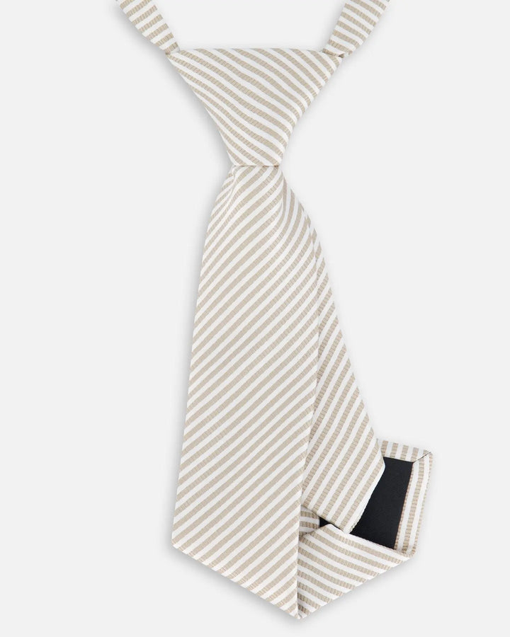 Neck Tie Light Taupe Striped-4