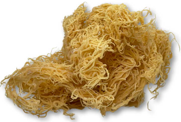 St.Lucian Gold Seamoss-1