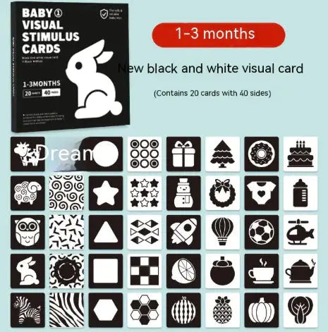 Early Education Visual Card My Store