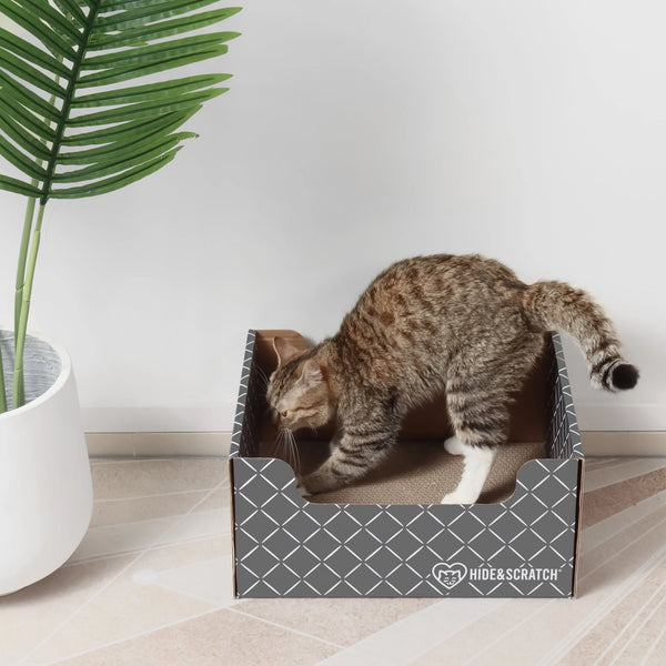 Hide & Scratch Cat Scratcher Box Value Pack (Case Pack of 7) Hide & Scratch