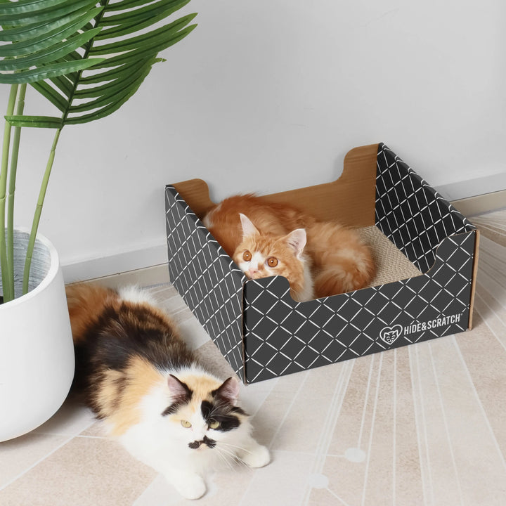 Hide & Scratch Cat Scratcher Box Value Pack (Case Pack of 7) Hide & Scratch