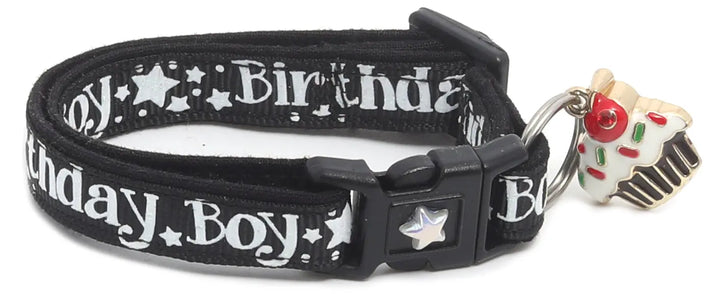 Birthday Boy Breakaway Cat Collar Pugs2Persians