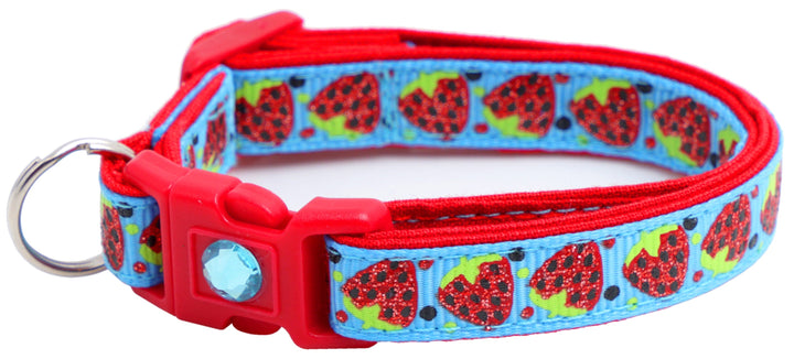 Strawberries Breakaway Cat Collar Pugs2Persians