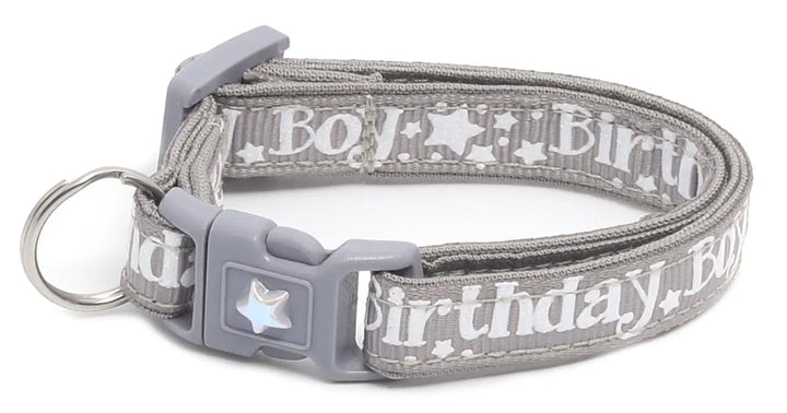 Birthday Boy Breakaway Cat Collar Pugs2Persians