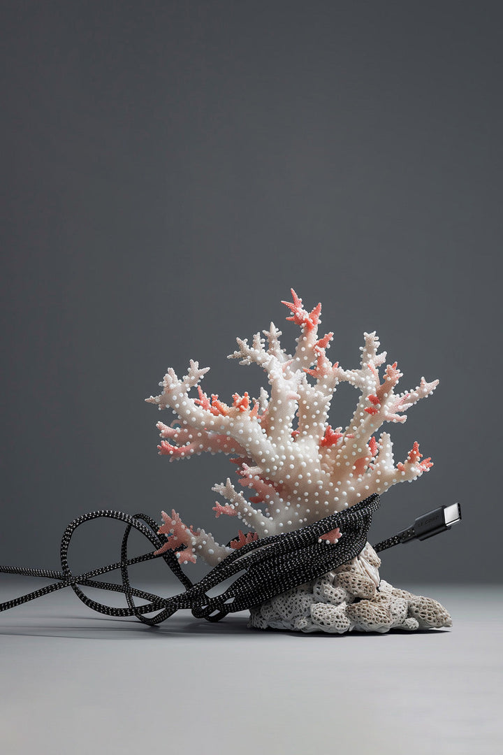 USB Sea Black · Type C · 100W · 2 meter · Made of recycled fishing nets-1