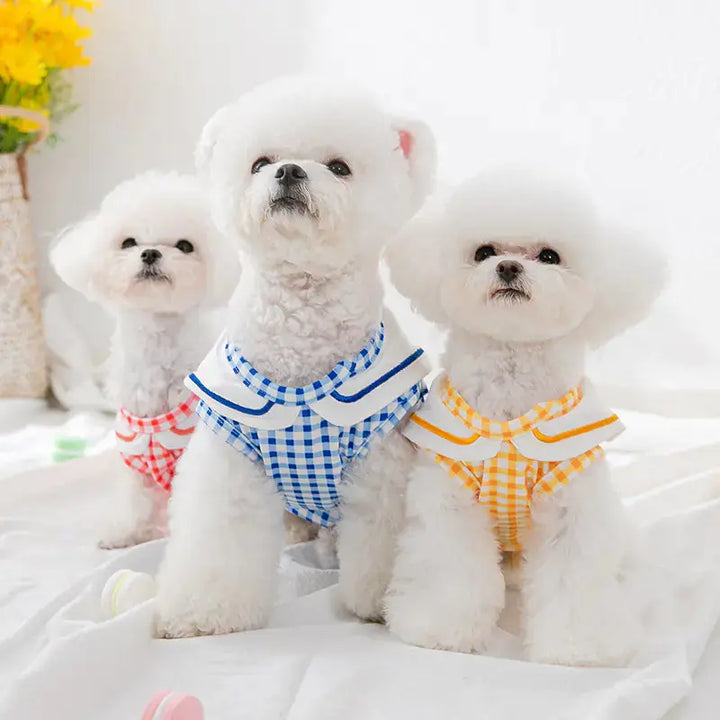 Cat Shirts for Small and Medium Dogs Pet Clothing My Store