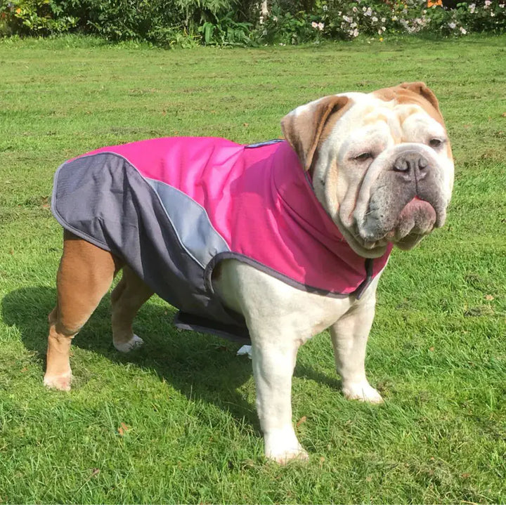 Waterproof Outdoor Pet Raincoat and Insulated Jacket My Store