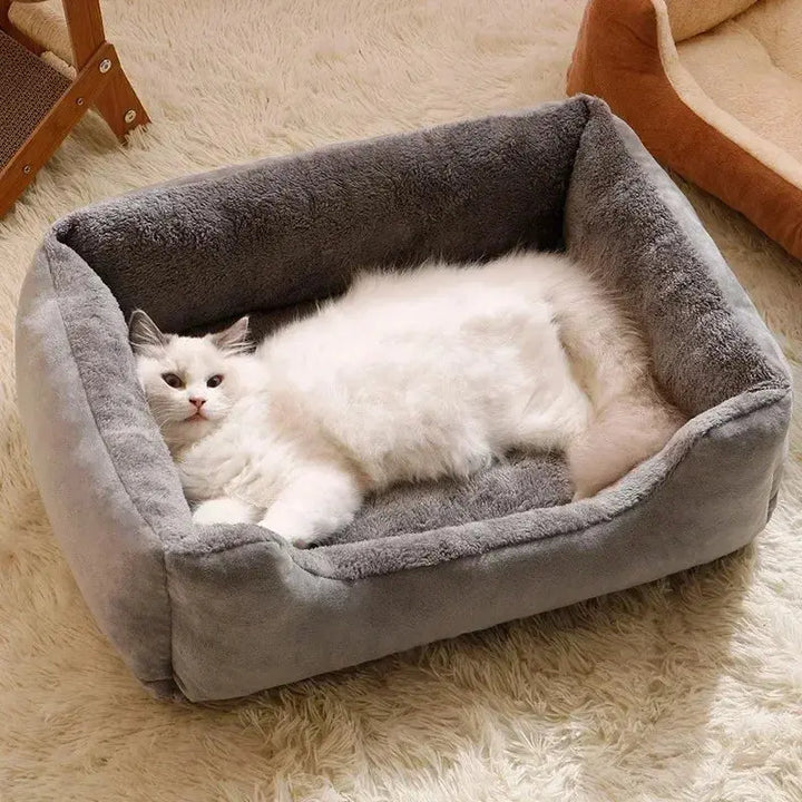 Bed for Cats Pet Products Cushions Kitten Goods Accessories Dog All Houses Supplies Things Accessory Habitats Basket House Beds Dropshipman