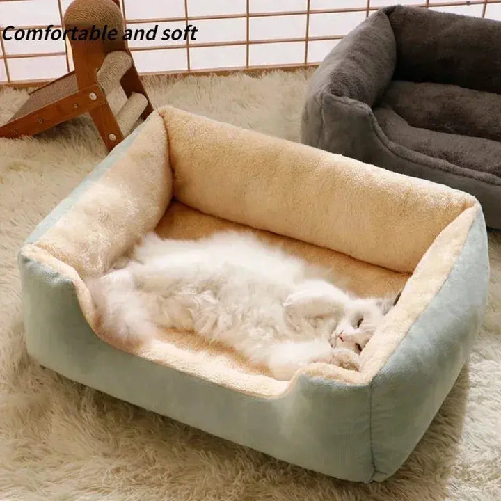 Bed for Cats Pet Products Cushions Kitten Goods Accessories Dog All Houses Supplies Things Accessory Habitats Basket House Beds Dropshipman